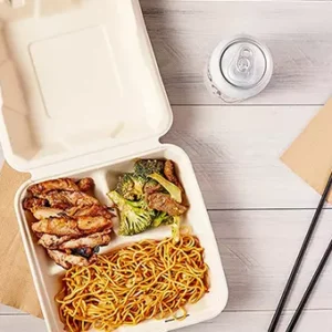 Bagasse Food Container