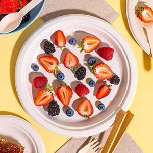 Biodegradable Bagasse Plates