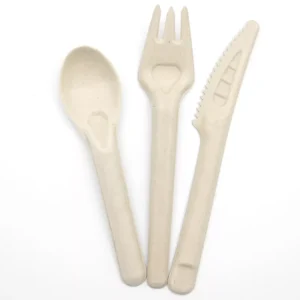 Bagasse Cutlery