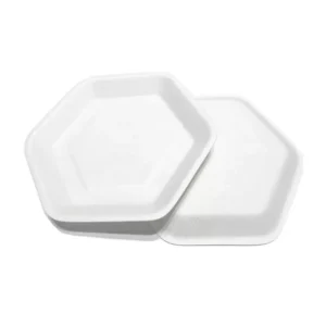 Bagasse Dishes
