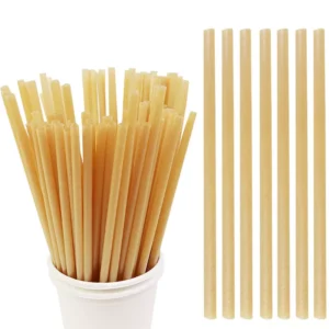Sugarcane Straws